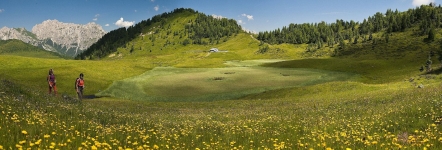 Carnia_Panoramica Malga Tita_ph M.Verin_Arch.TurismoFVG. 