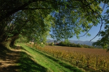 Paesaggio della Franciacorta 