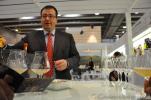 Vinitaly 2010 - Donne in vigna