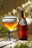 bicchiere adatto alle birre trappiste